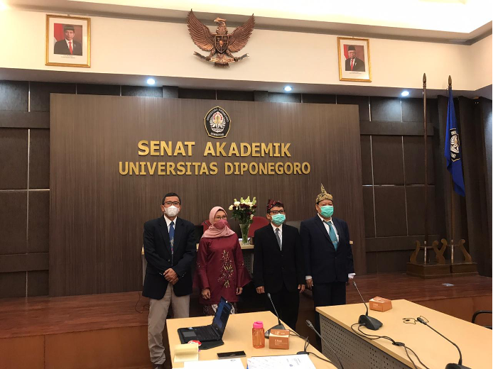 Pleno Section of the Academic Senate Professor Council